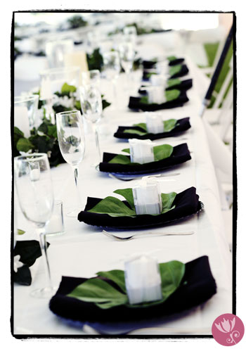 grand rapids wedding photography
