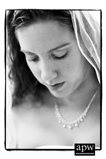 portage wedding photographer