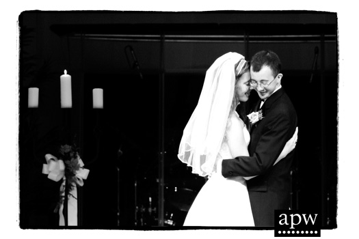 michigan wedding photographer