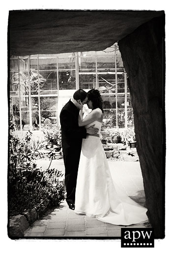 wedding photojournalism